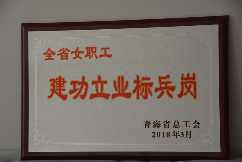 小容量注射劑車間洗烘灌封聯(lián)動(dòng)線班組榮獲“全省女職工建功立業(yè)標(biāo)兵”榮譽(yù)稱號(hào)。