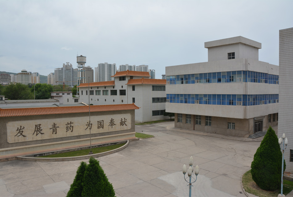 廠區(qū)風(fēng)貌 1 青海制藥廠區(qū)
