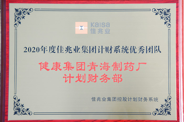 公司計劃財務(wù)部榮獲“2020年度 佳兆業(yè)集團計財系統(tǒng)優(yōu)秀團隊”稱號