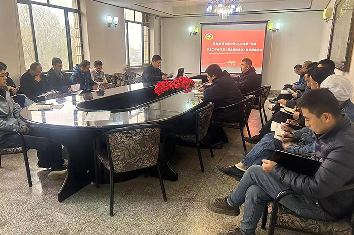 公司組織召開2023年第一季度 安全工作會議暨《職業(yè)病防治法》宣傳周啟動會