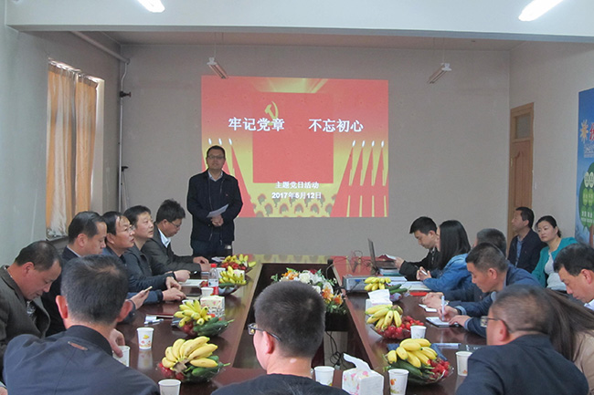 “牢記黨章 不忘初心” 公司黨委開展主題黨日活動(dòng)