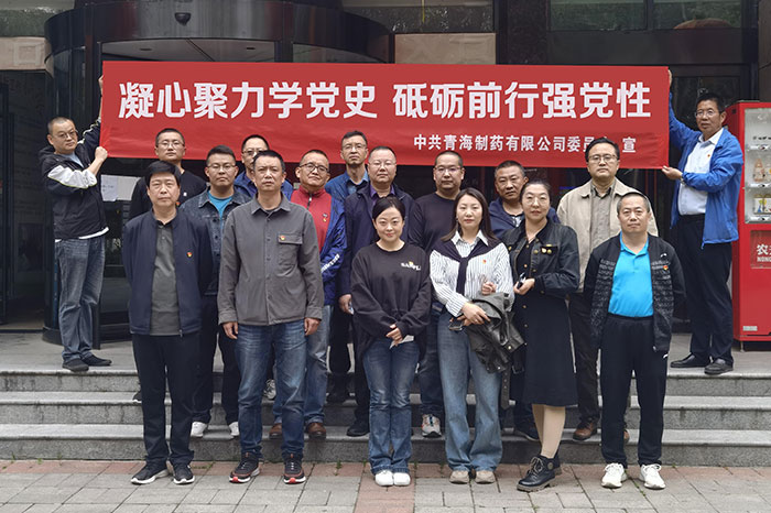 公司黨委組織各黨支部書記及部分黨員觀看黨史題材電影《毛澤東在才溪》